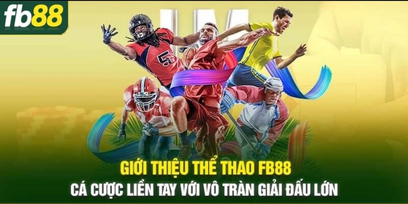 Tổng quan căn bản về thể thao FB88